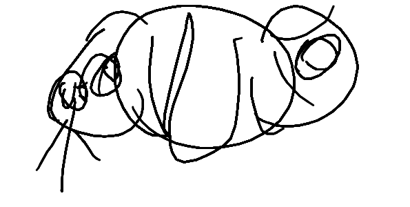 Drawing by Radium